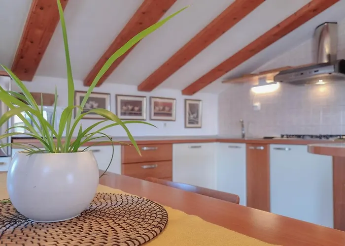 Διαμέρισμα Maria Nina Novigrad Istria