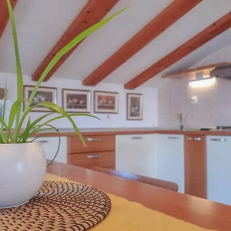 Apartmán Maria Nina Novigrad Istria