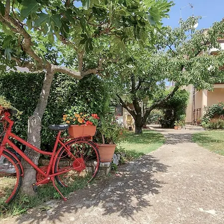 Apartment Maria Nina *